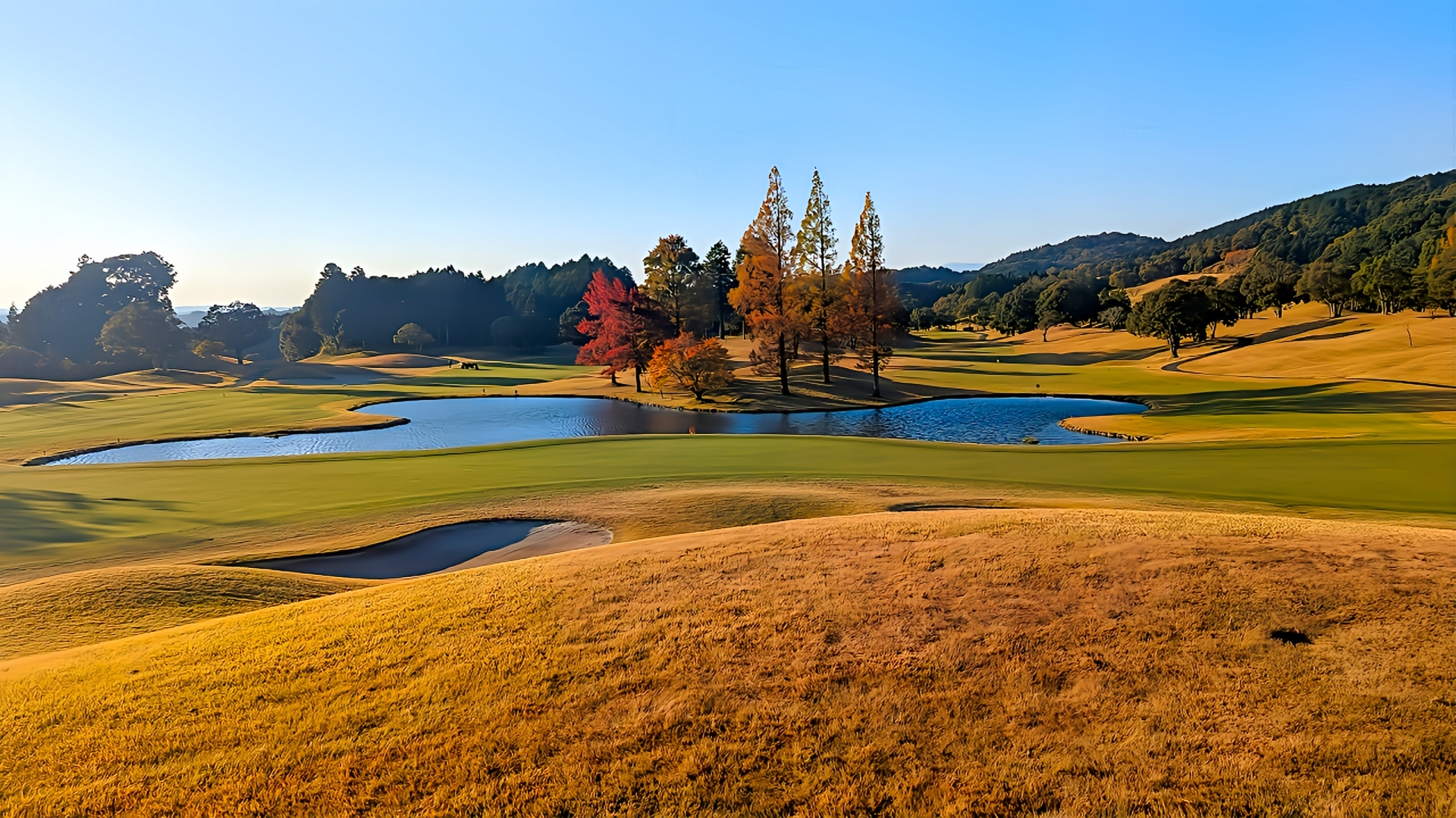 Offerings 27972764 m