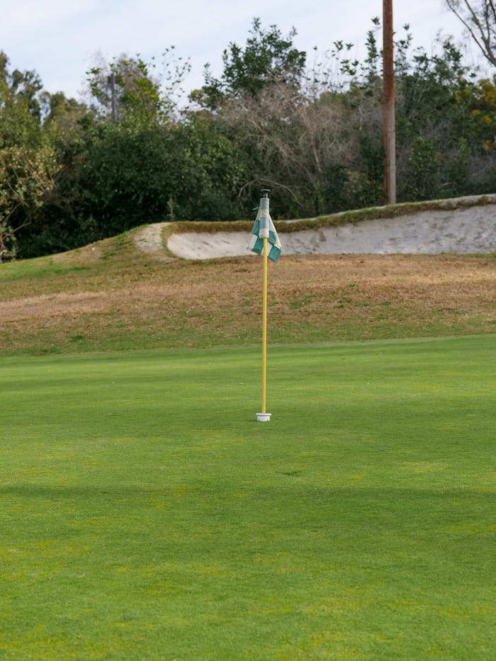 Home Vertical shot of a golf hole with a green flag on a sunny day at a lush golf course.