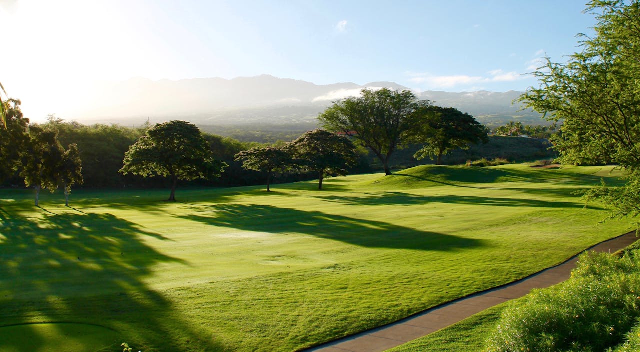 Home Serene view of a lush green golf course surrounded by trees and mountains, bathed in sunlight.
